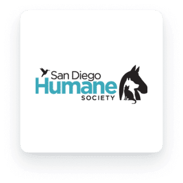 sociedad humana setmore